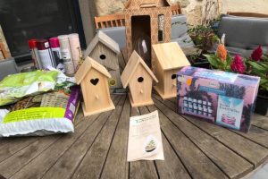 Qu&rsquo;est-ce que la biodiversité ?